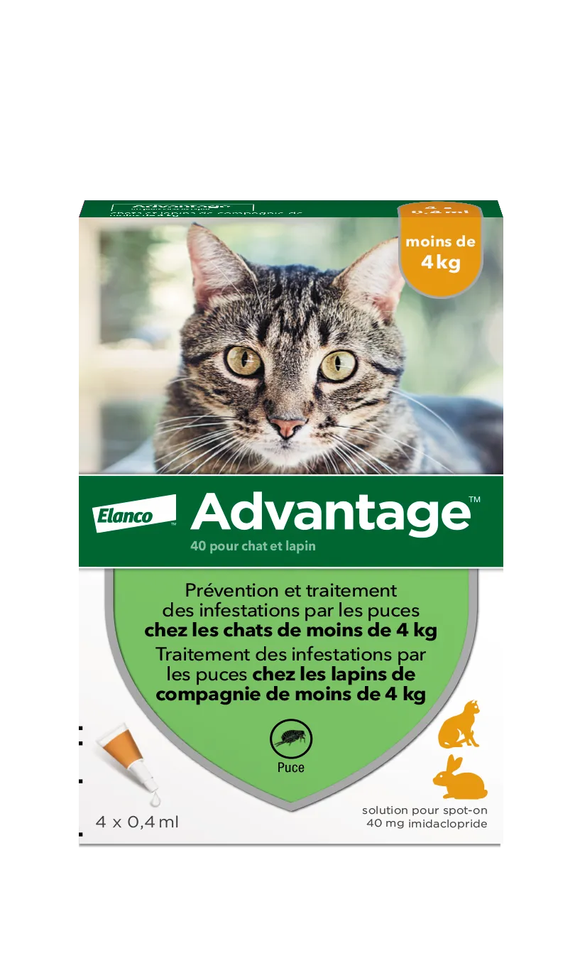 Advantage, traitement anti puces pour chat