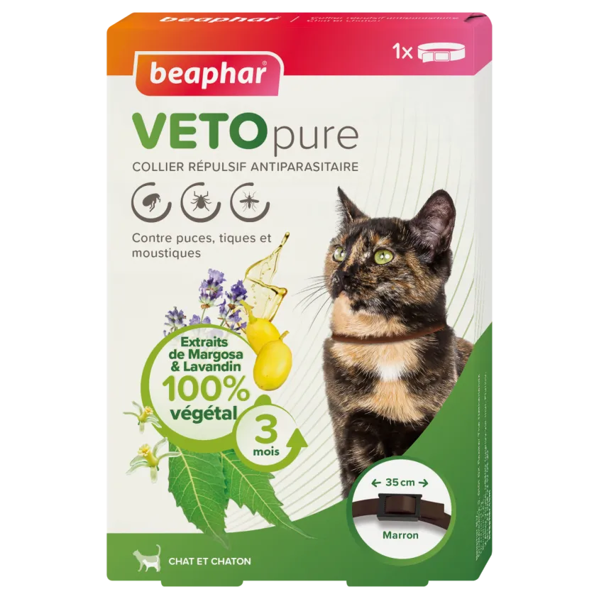 Collier insectifuge naturel pour chat et chaton - Vétonature