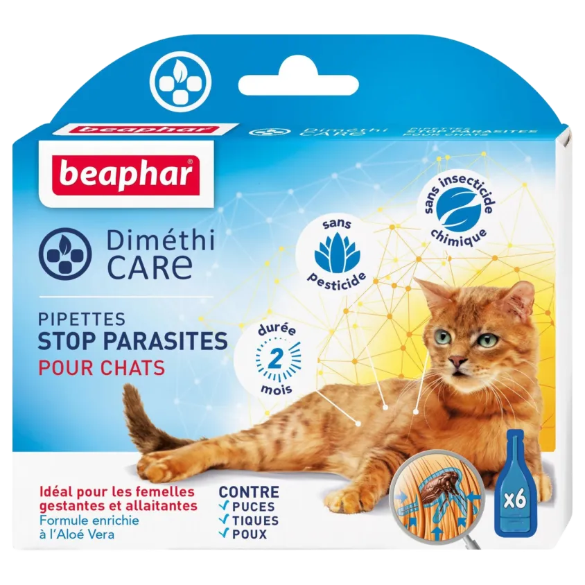 Pipettes antiparasitaires pour chatons
