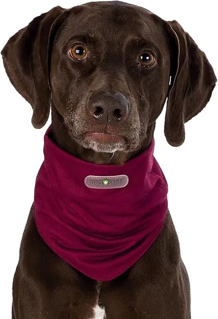 Tour de cou anti-insectes et parasites pour chien